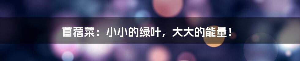 苜蓿菜:小小的绿叶,大大的能量!