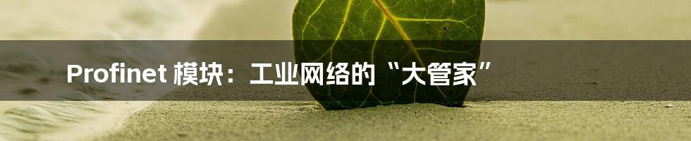 Profinet 模块:工业网络的“大管家”