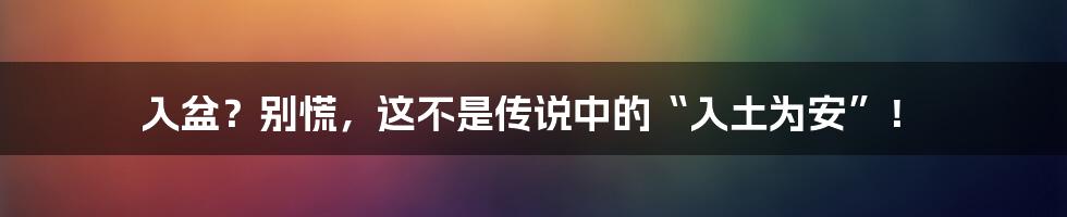 入盆?别慌,这不是传说中的“入土为安”!