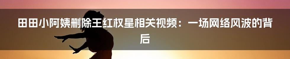田田小阿姨删除王红权星相关视频：一场网络风波的背后