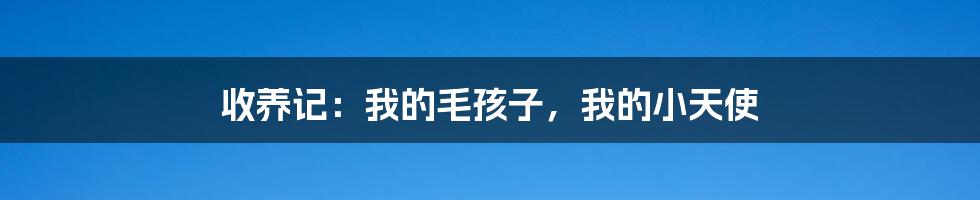 收养记:我的毛孩子,我的小天使