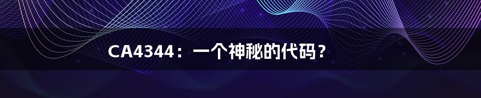 CA4344:一个神秘的代码?