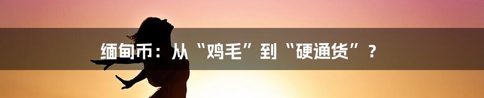 缅甸币:从“鸡毛”到“硬通货”?
