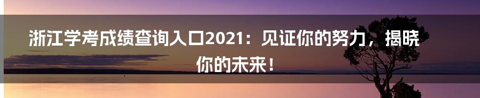 浙江学考成绩查询入口2021:见证你的努力,揭晓你的未来!