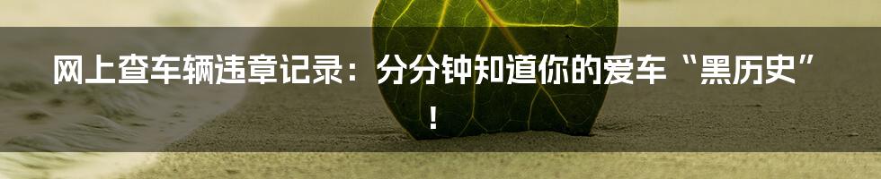 网上查车辆违章记录:分分钟知道你的爱车“黑历史”!
