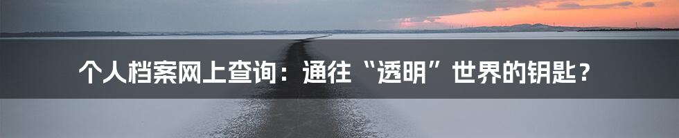 个人档案网上查询:通往“透明”世界的钥匙?