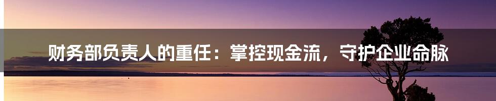 财务部负责人的重任:掌控现金流,守护企业命脉