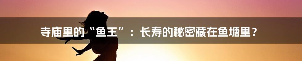寺庙里的“鱼王”:长寿的秘密藏在鱼塘里?