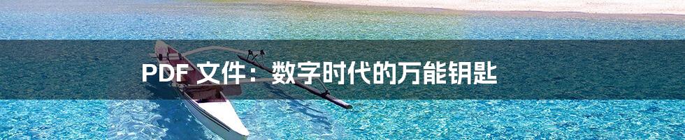 PDF 文件:数字时代的万能钥匙