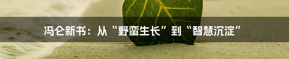 冯仑新书:从“野蛮生长”到“智慧沉淀”
