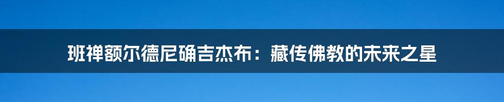 班禅额尔德尼确吉杰布:藏传佛教的未来之星