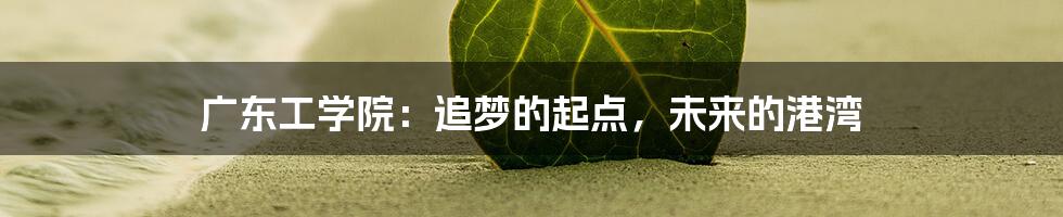 广东工学院:追梦的起点,未来的港湾