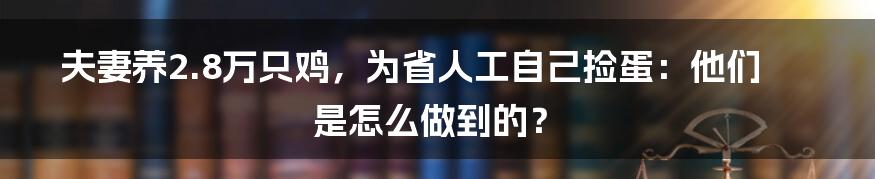 夫妻养2.8万只鸡,为省人工自己捡蛋:他们是怎么做到的?