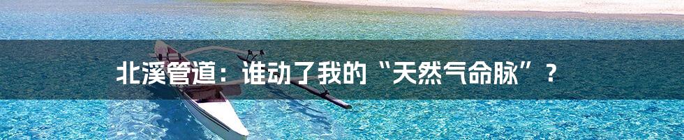 北溪管道:谁动了我的“天然气命脉”?