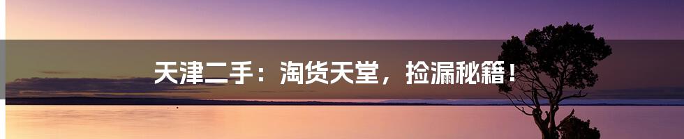 天津二手:淘货天堂,捡漏秘籍!