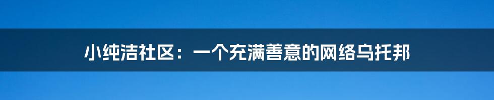 小纯洁社区：一个充满善意的网络乌托邦