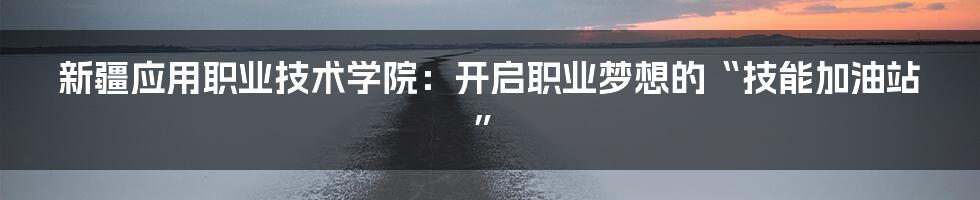新疆应用职业技术学院:开启职业梦想的“技能加油站”
