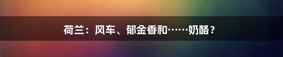 荷兰:风车、郁金香和……奶酪?