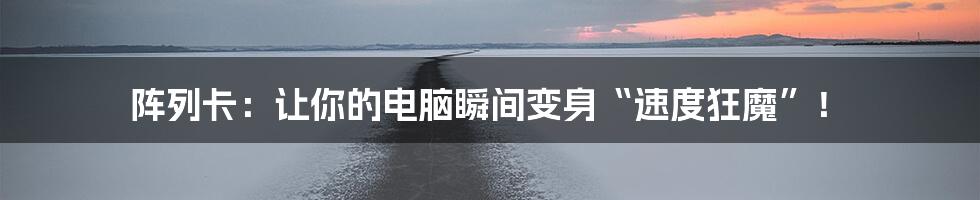 阵列卡:让你的电脑瞬间变身“速度狂魔”!