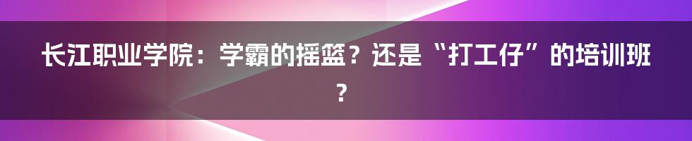 长江职业学院:学霸的摇篮?还是“打工仔”的培训班?