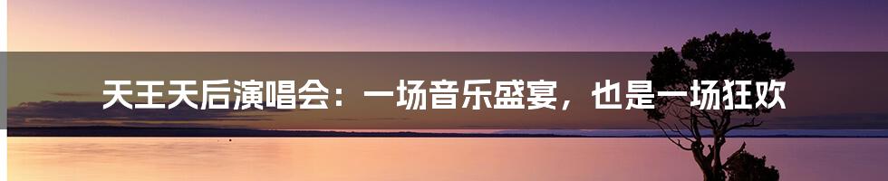 天王天后演唱会:一场音乐盛宴,也是一场狂欢