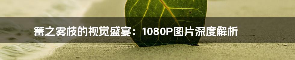 篝之雾枝的视觉盛宴：1080P图片深度解析