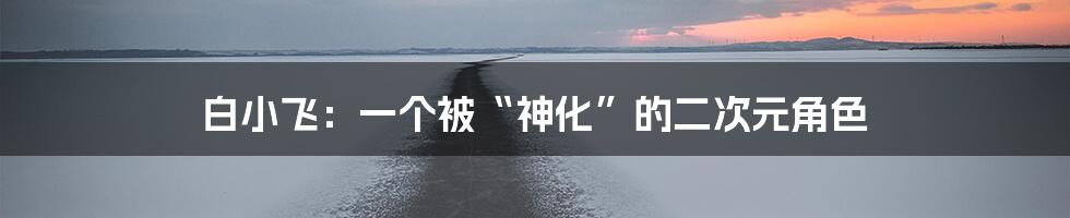 白小飞:一个被“神化”的二次元角色