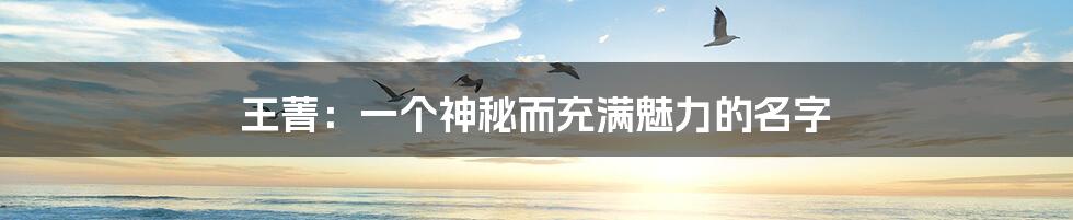王菁:一个神秘而充满魅力的名字