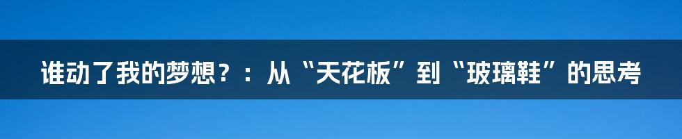 谁动了我的梦想?:从“天花板”到“玻璃鞋”的思考