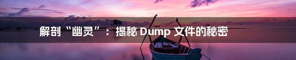 解剖“幽灵”:揭秘 Dump 文件的秘密