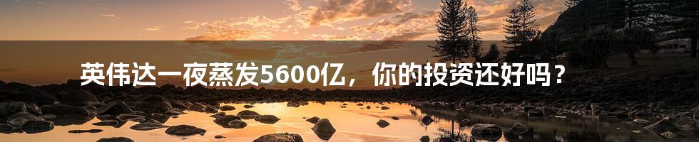 英伟达一夜蒸发5600亿,你的投资还好吗?
