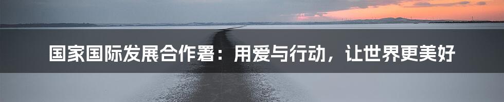 国家国际发展合作署:用爱与行动,让世界更美好