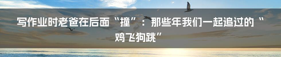 写作业时老爸在后面“撞”:那些年我们一起追过的“鸡飞狗跳”