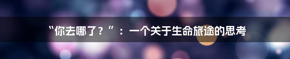 “你去哪了?”:一个关于生命旅途的思考