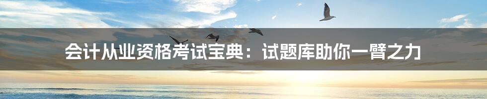 会计从业资格考试宝典：试题库助你一臂之力