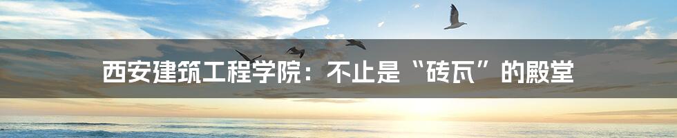 西安建筑工程学院:不止是“砖瓦”的殿堂