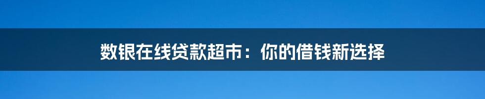数银在线贷款超市:你的借钱新选择