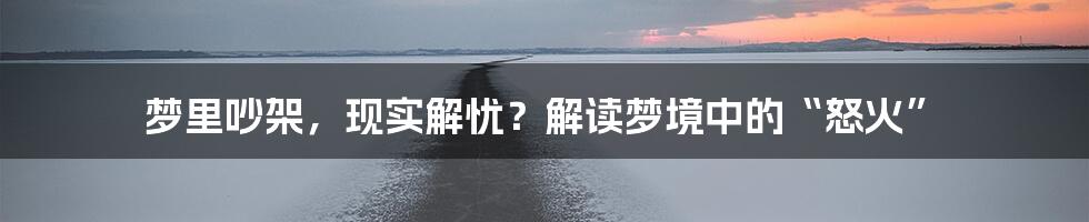 梦里吵架,现实解忧?解读梦境中的“怒火”