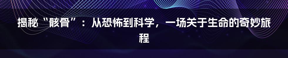 揭秘“骸骨”:从恐怖到科学,一场关于生命的奇妙旅程