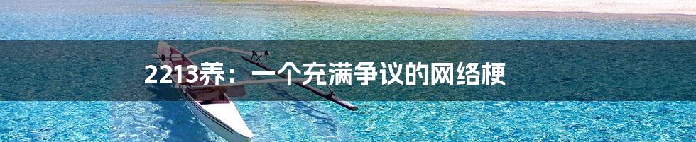 2213养:一个充满争议的网络梗