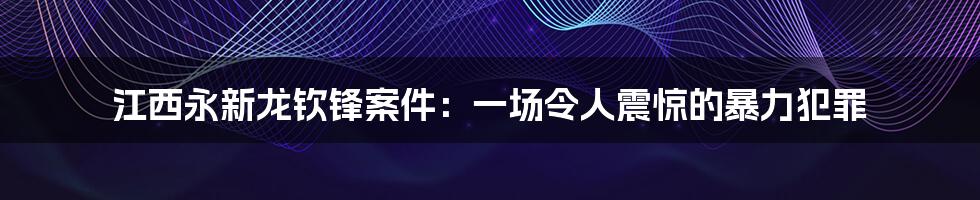 江西永新龙钦锋案件:一场令人震惊的暴力犯罪