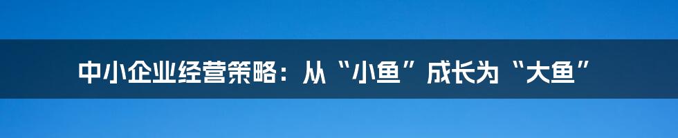 中小企业经营策略:从“小鱼”成长为“大鱼”