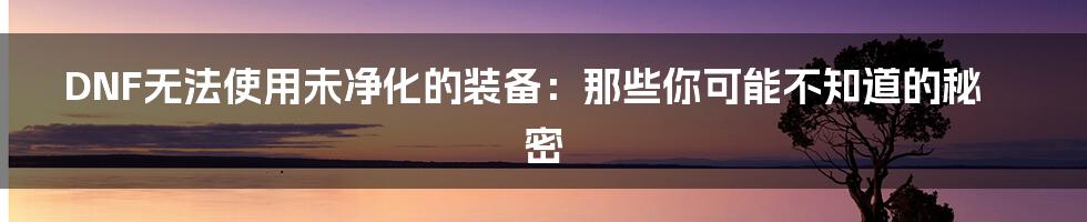 DNF无法使用未净化的装备：那些你可能不知道的秘密