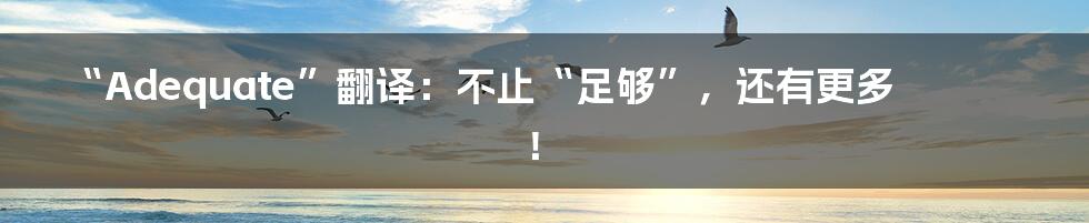 “Adequate”翻译:不止“足够”,还有更多!