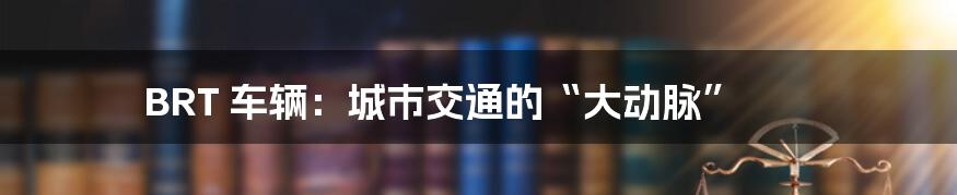 BRT 车辆:城市交通的“大动脉”