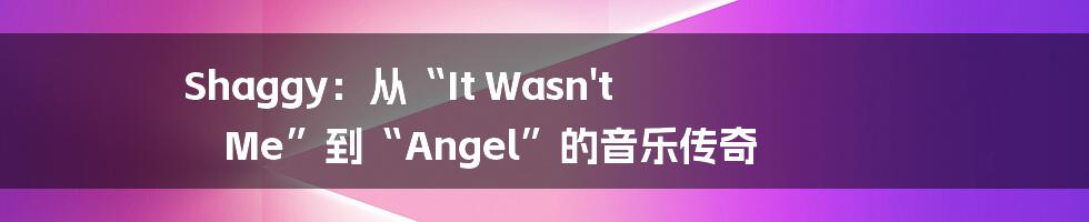 Shaggy:从“It Wasn't Me”到“Angel”的音乐传奇