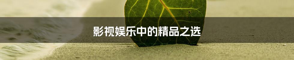 影视娱乐中的精品之选