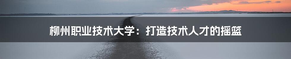 柳州职业技术大学：打造技术人才的摇篮