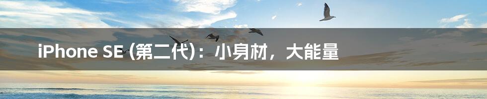 iPhone SE (第二代)：小身材，大能量
