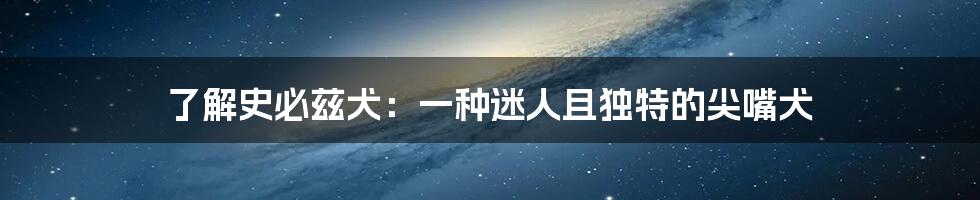 了解史必兹犬:一种迷人且独特的尖嘴犬